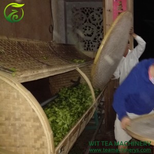 60cm Diameter 150cm Length Oolong Tea Shaking Machine Oolong Drum ZC-6CYQT-60T