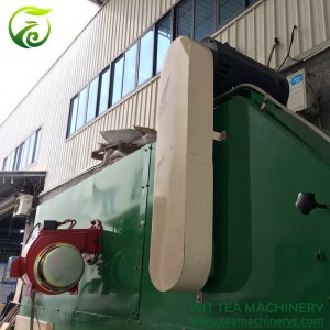 Diesel Oil Heating Continuous Belt Type Tea Leaves Dryer ZC-6CHL-CY24