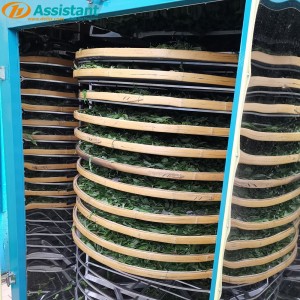 Mini Small Tea Leaves Dryer Machine Green Tea Leaf Process Machine 6CHZ-14