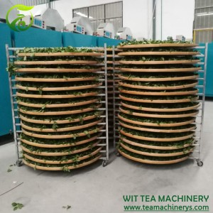 20 Layers 110cm Bamboo Pallets Tea Wither Rack ZC-TQJ-20