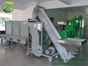 Automtic Tea Winnowing Sorting Machine Tea Winnower Machine ZC-6CFX-40