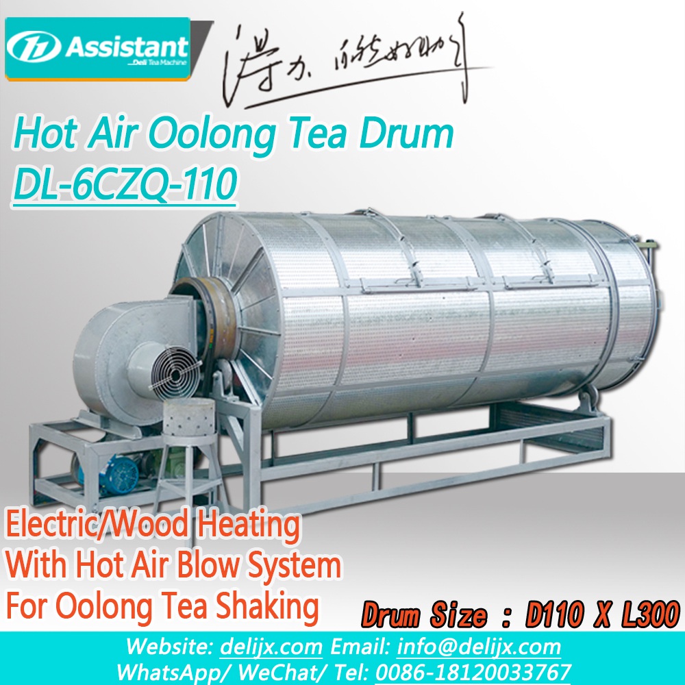 DL-6CZQ-110 (8)