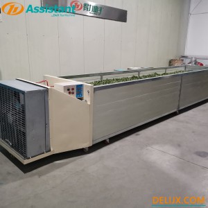 Fresh Tea Leaves Withering Process Wilting Machine 6CWD-580
