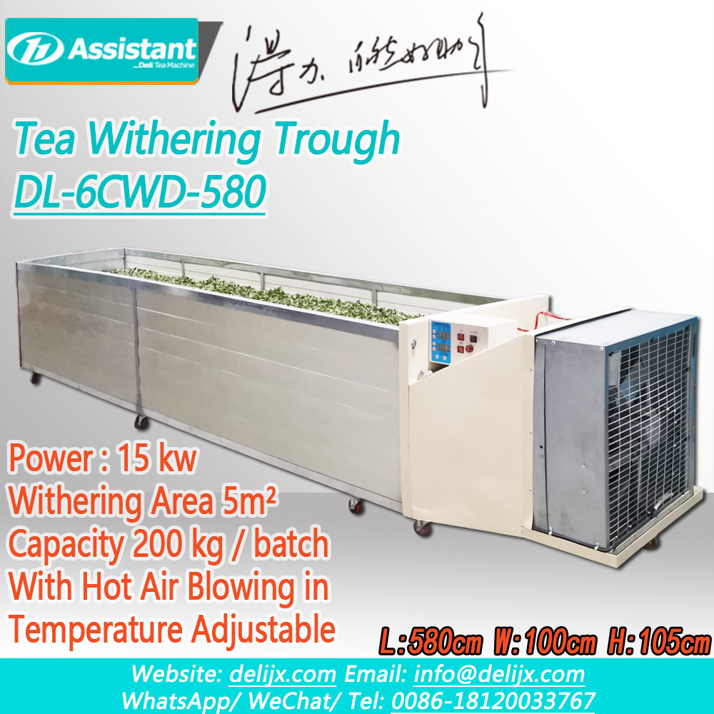 Green Black Tea Leaves Withering Process Trough Machine For Tea