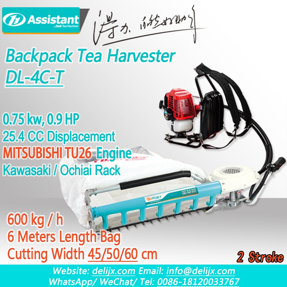 High Quality Gasoline Tea Leaf Cutting Machine With Engine