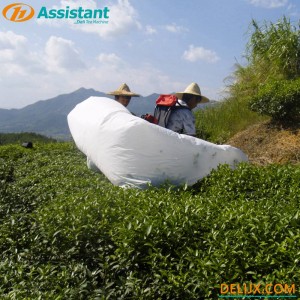 Ochiai/Kawasaki HONDA GX35 Gasoline Engine Tea Harvester ZC-4C-H3