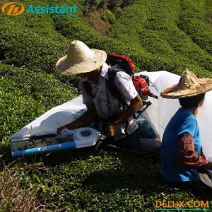 Ochiai/Kawasaki HONDA GX35 Gasoline Engine Tea Harvester ZC-4C-H3