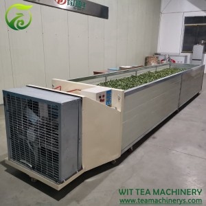 500cm Length 100cm Width Tea Leaves Withering Trough ZC-6CWD-500