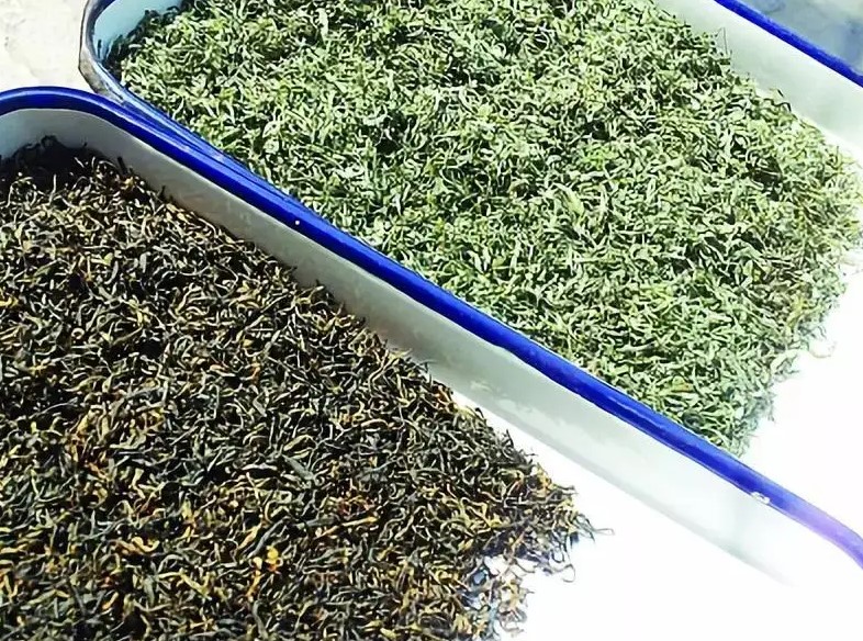 Difference Between Green Tea And Black Tea