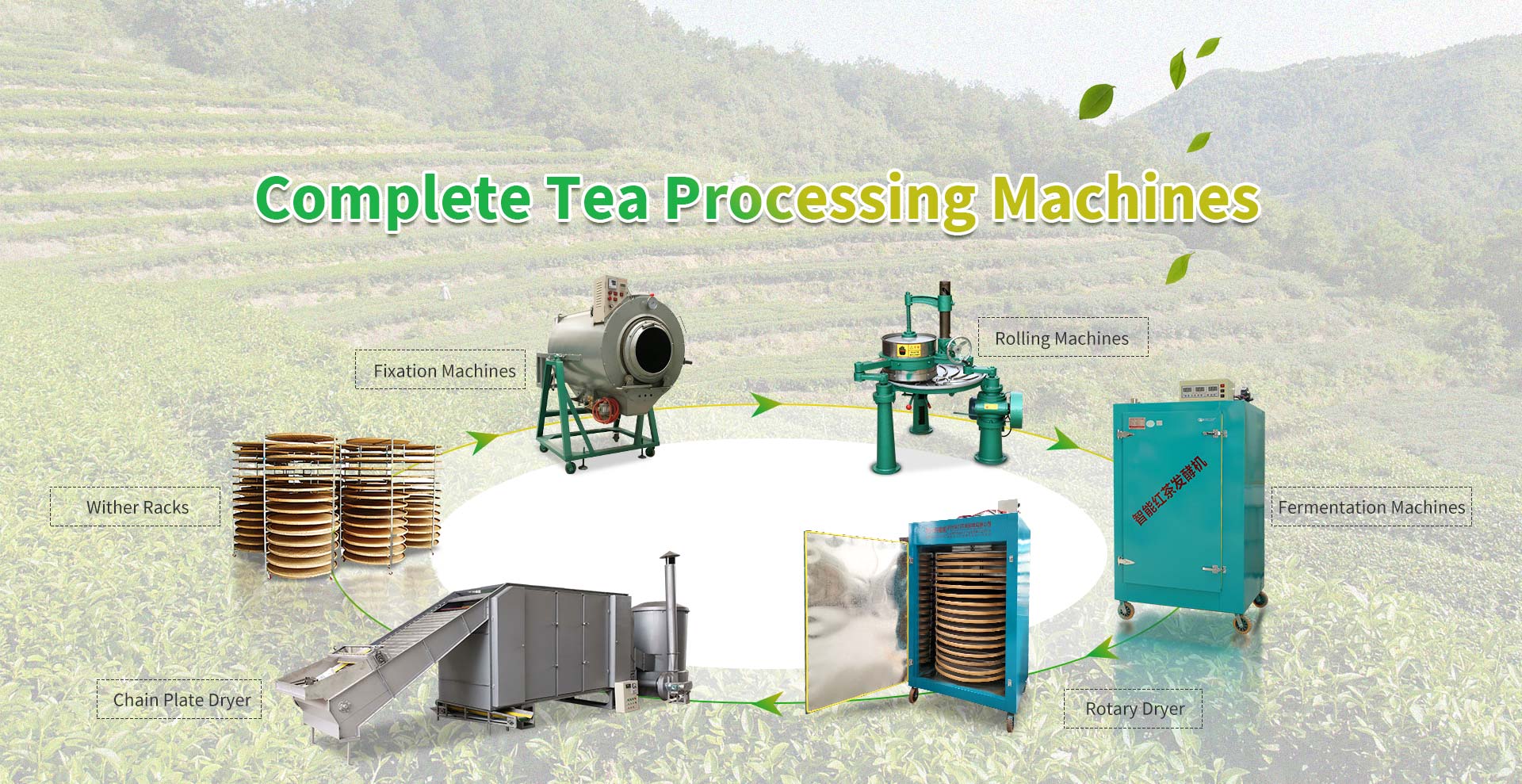 Complete Tea Processing Machines