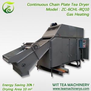 Gas Heating Chain Plate Black Tea Leaf Drying Machine ZC-6CHL-RQ10