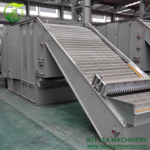 Wood/Coal Heating Chain Plate Green Tea Drying Sterilizer Machine ZC-6CHL-CM30