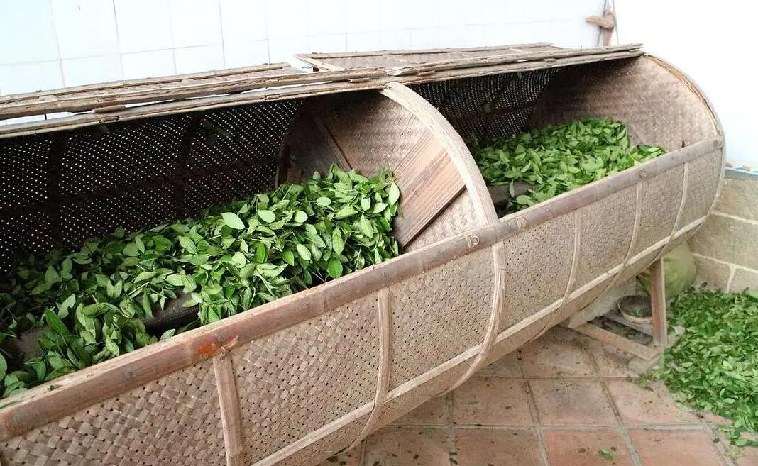 Taboos Of Drinking Oolong Tea