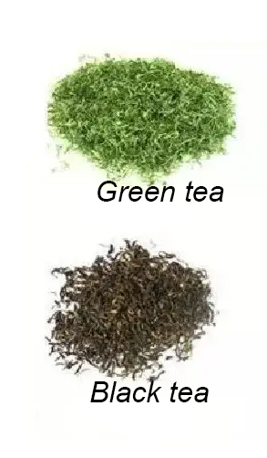 The Difference Between Black Tea And Green Tea–Processing Methods