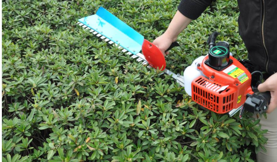 The Role Of Tea Tree Pruning