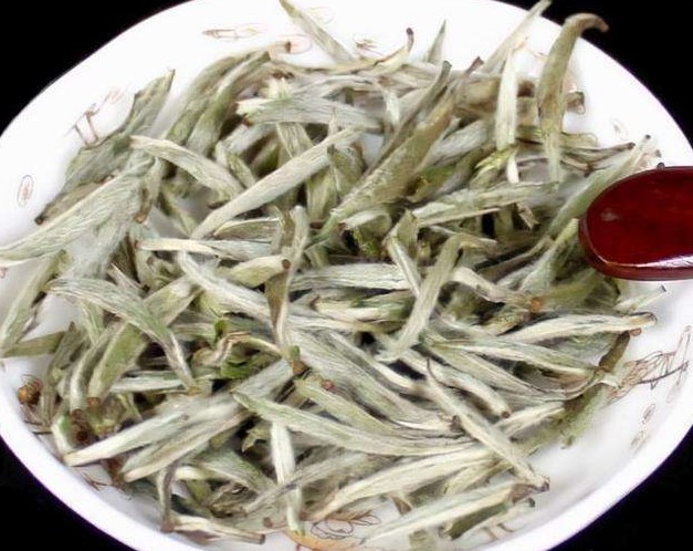 Benefits of White Tea
